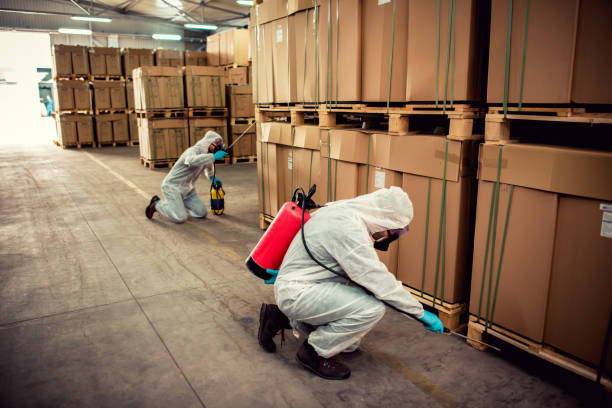 Best Local Pest Control Services  in Orchard Grass Hills, KY