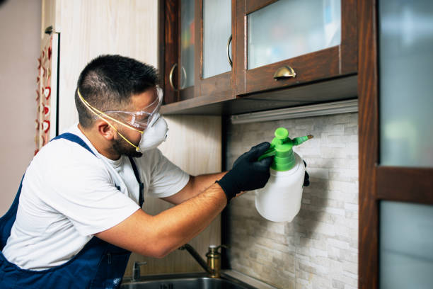 Best Affordable Pest Control Services  in Orchard Grass Hills, KY