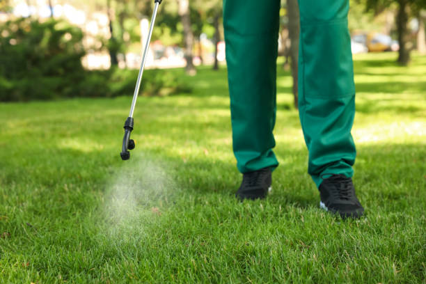 Best Affordable Pest Control Services  in Orchard Grass Hills, KY