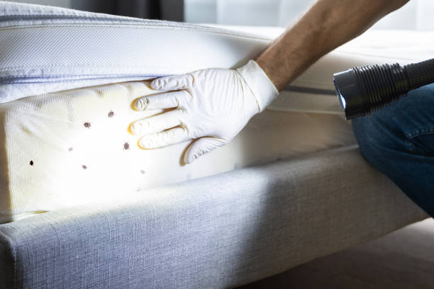 Best Affordable Pest Control Services  in Orchard Grass Hills, KY