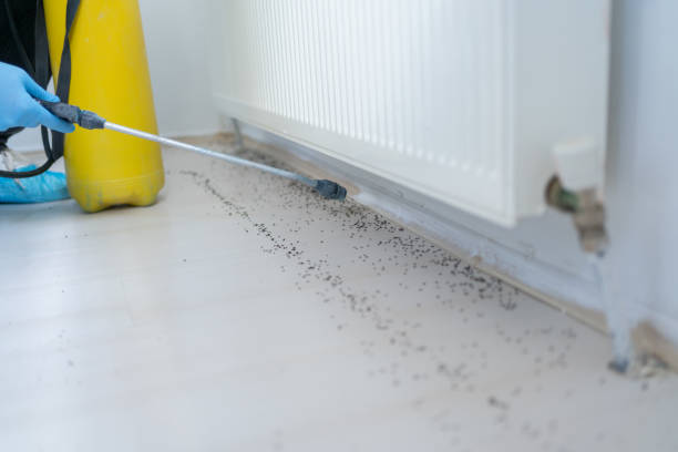 Orchard Grass Hills, KY Pest Control Company