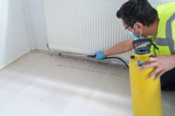 Best Mosquito Control Services  in Orchard Grass Hills, KY